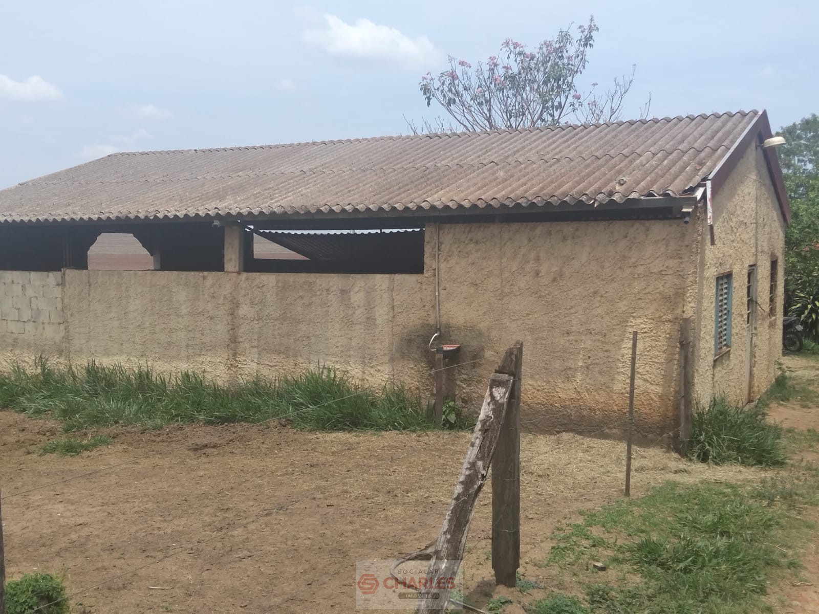 MARTIM FRANCISCO MOGI-MIRIM