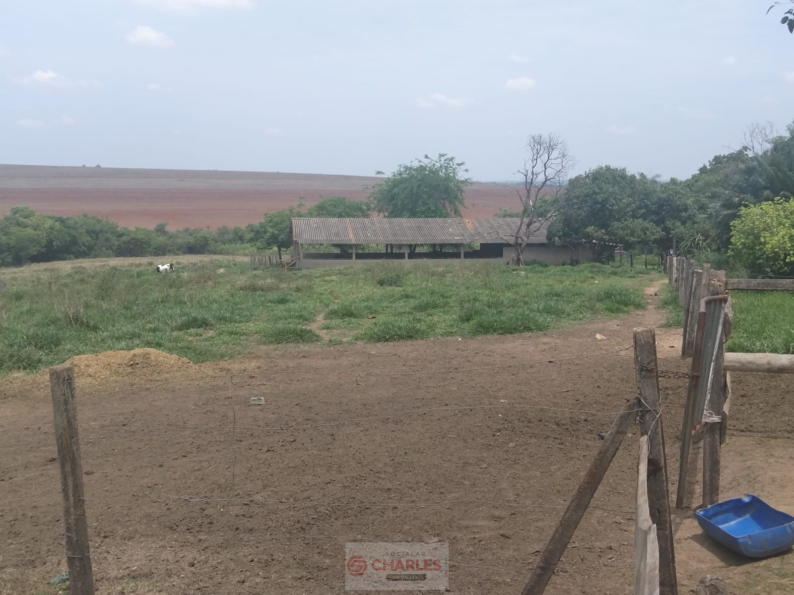 MARTIM FRANCISCO MOGI-MIRIM