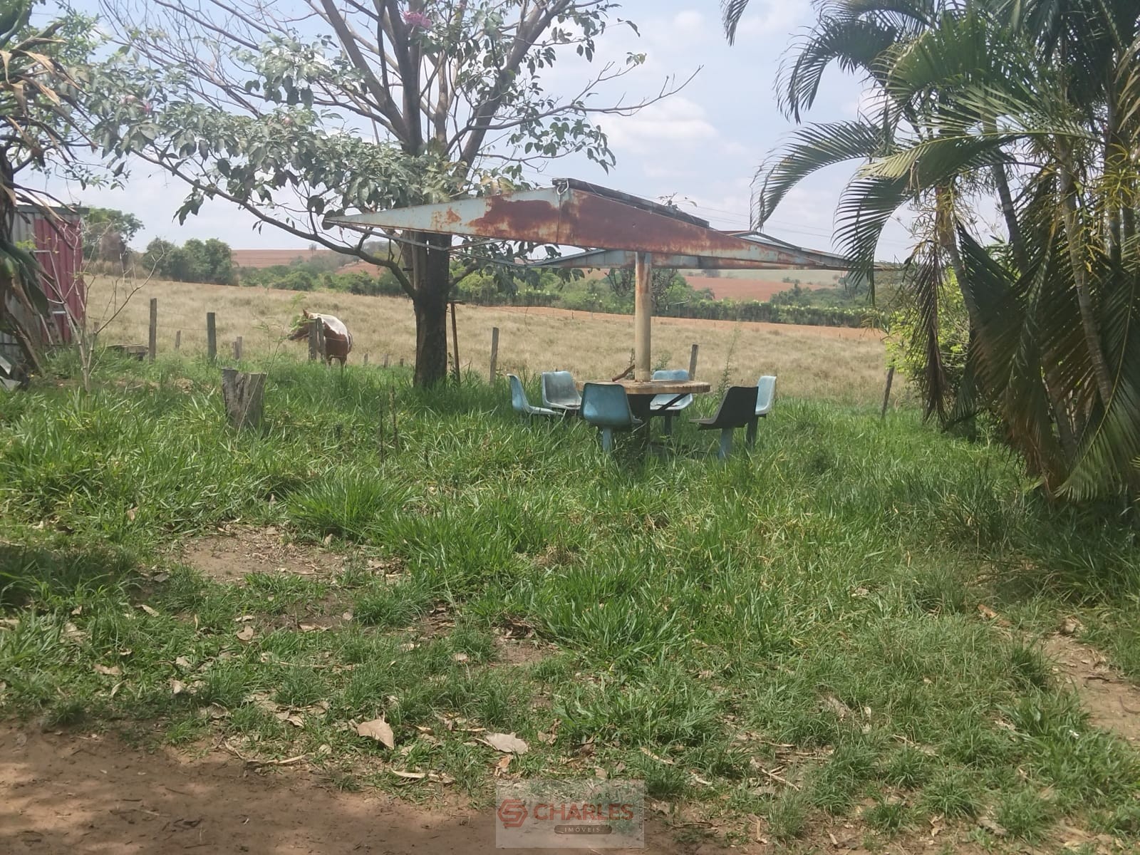 MARTIM FRANCISCO MOGI-MIRIM