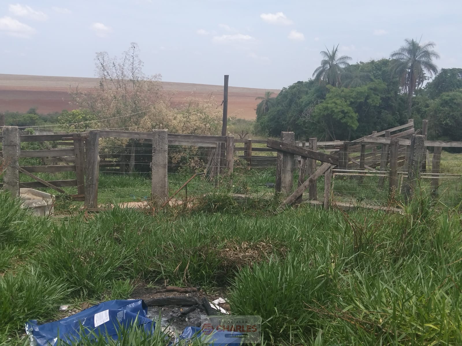 MARTIM FRANCISCO MOGI-MIRIM