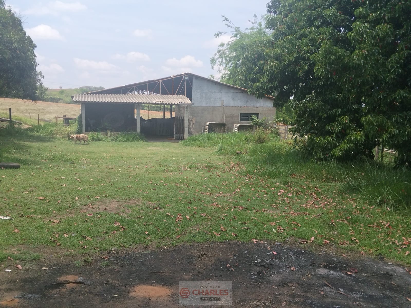 MARTIM FRANCISCO MOGI-MIRIM