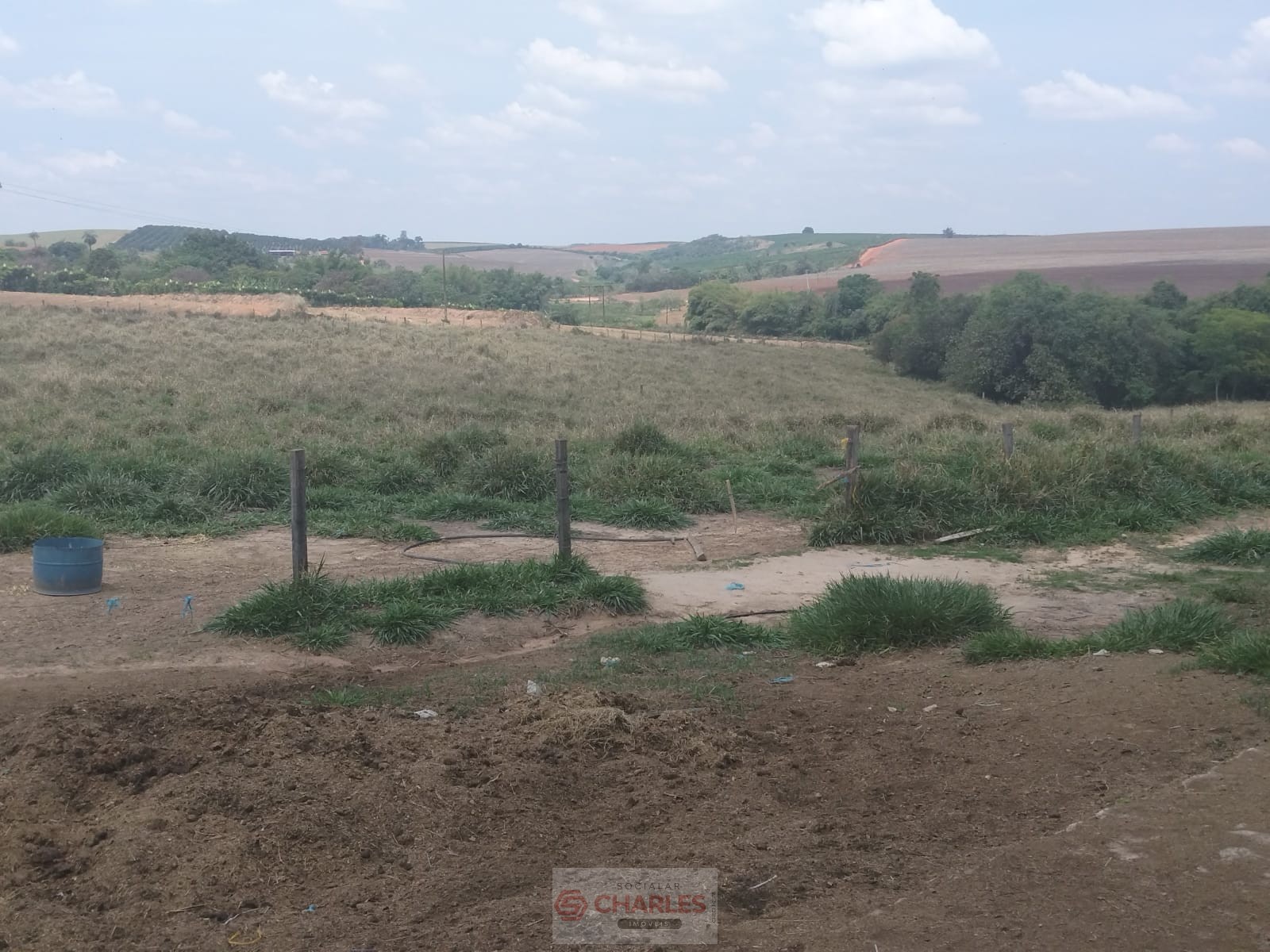 MARTIM FRANCISCO MOGI-MIRIM