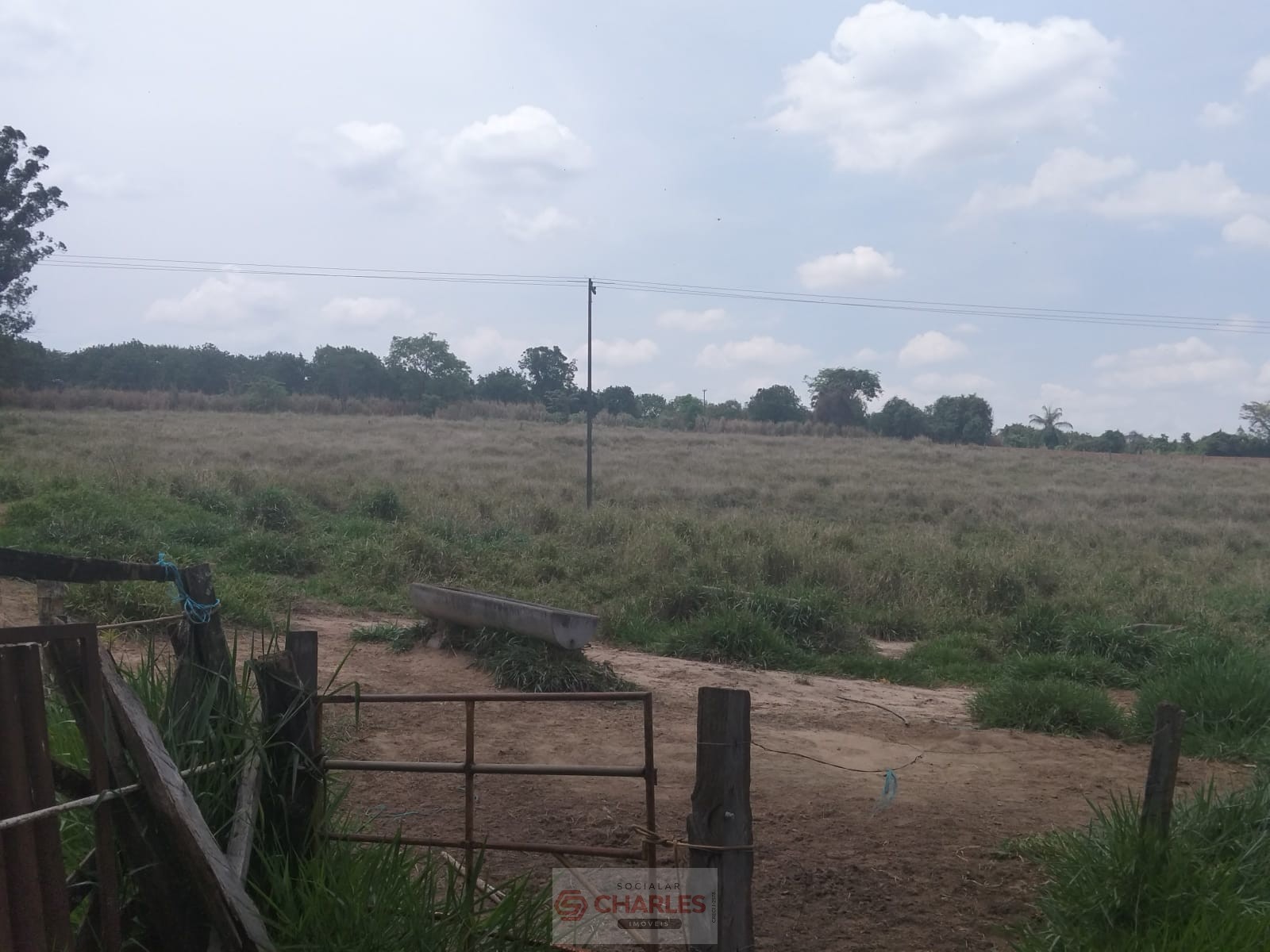 MARTIM FRANCISCO MOGI-MIRIM