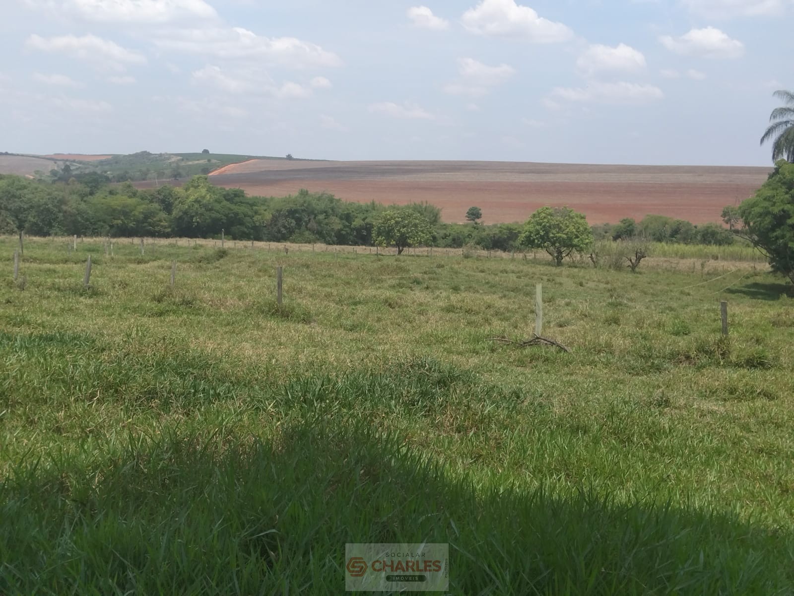 MARTIM FRANCISCO MOGI-MIRIM