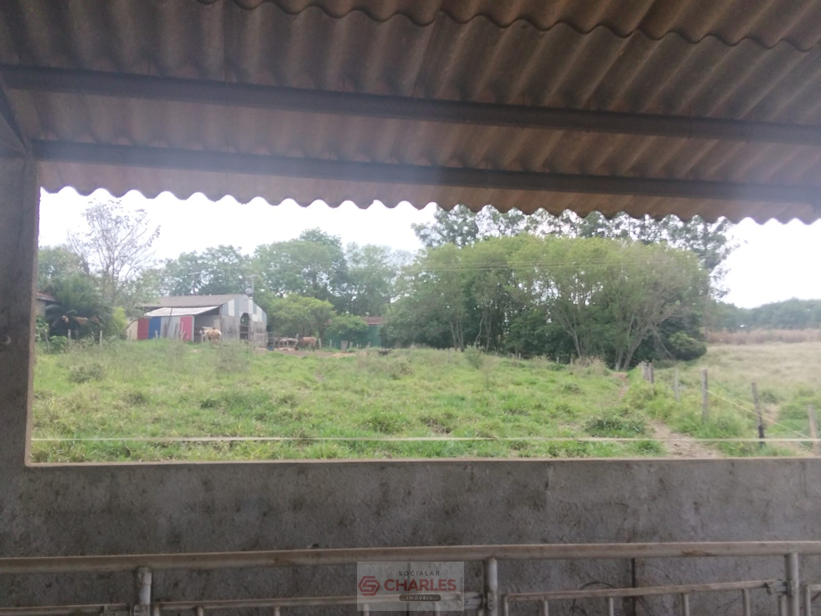 MARTIM FRANCISCO MOGI-MIRIM