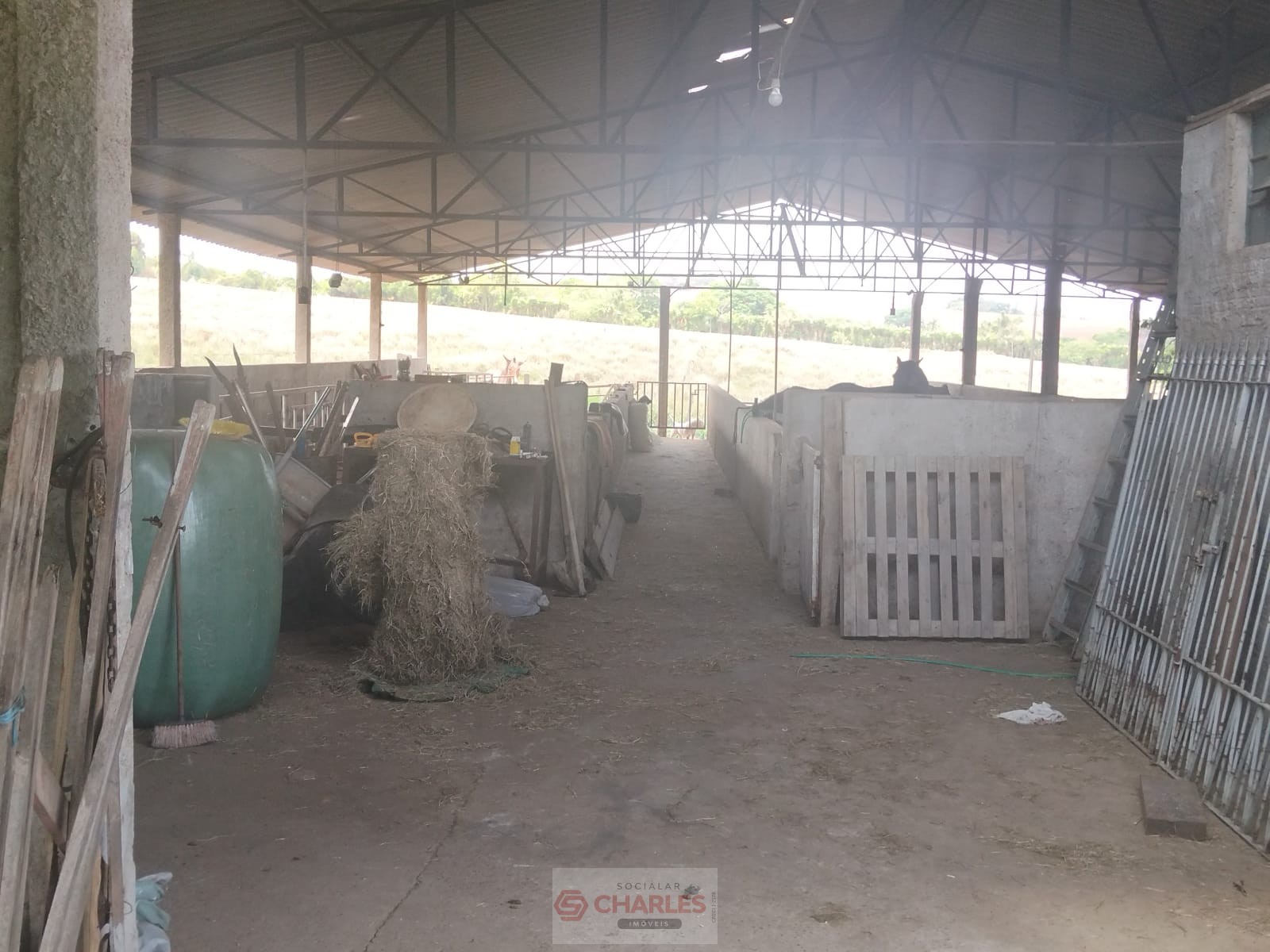 MARTIM FRANCISCO MOGI-MIRIM