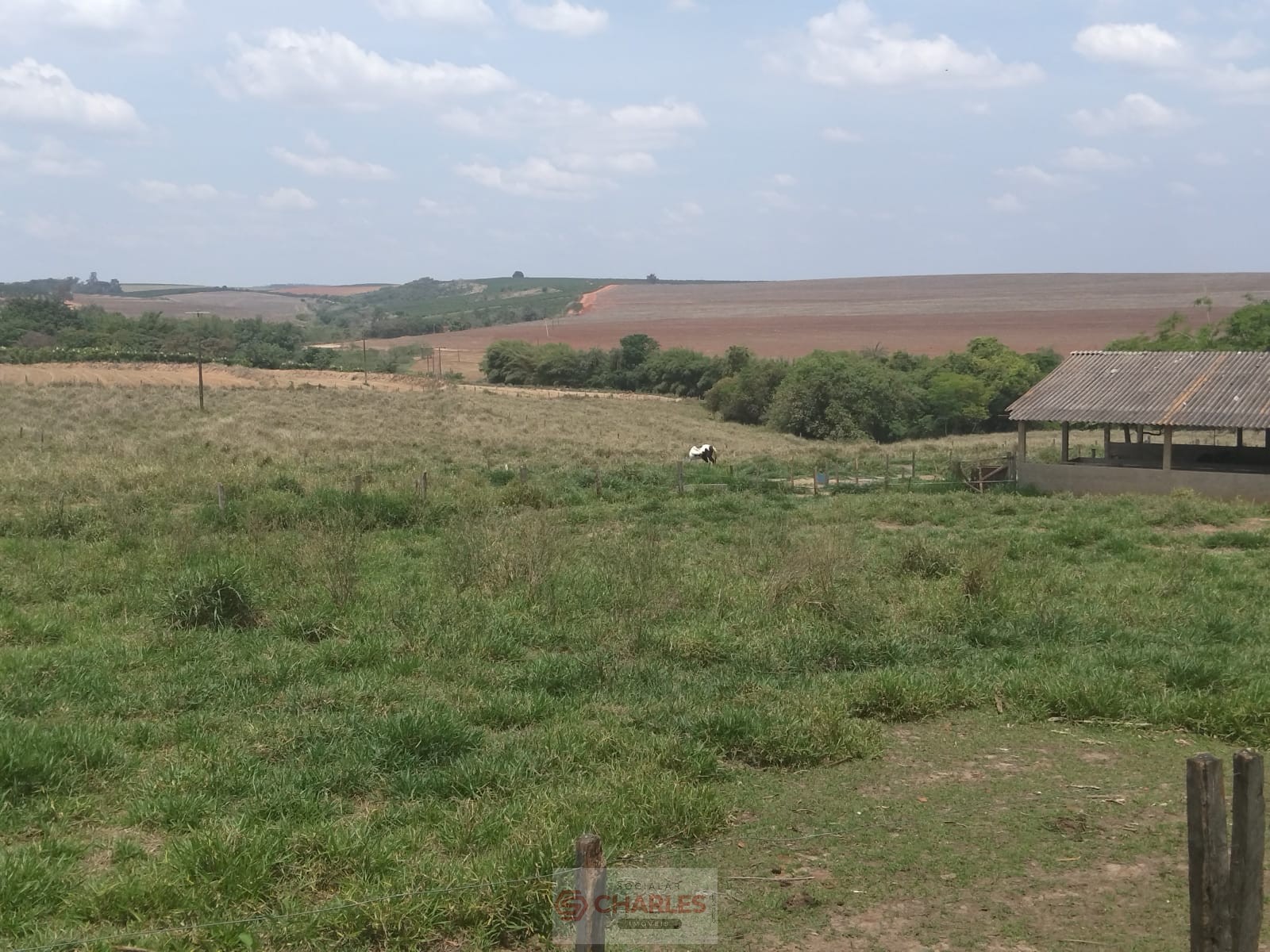 MARTIM FRANCISCO MOGI-MIRIM