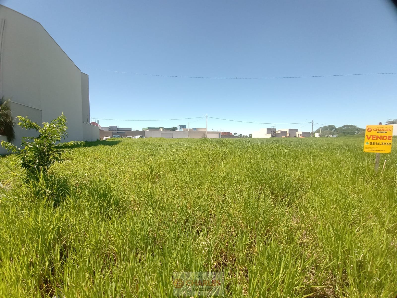 JD. MURAYAMA IV MOGI-MIRIM