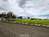 COND. FAZENDA PAINEIRAS MOGI-MIRIM
