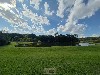 COND. FAZENDA PAINEIRAS MOGI-MIRIM