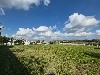 COND. FAZENDA PAINEIRAS MOGI-MIRIM
