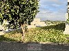 COND. FAZENDA PAINEIRAS MOGI-MIRIM