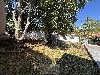 MIRANTE MOGI-MIRIM