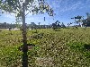 COND. RES. FLOR D´ALDEIA MOGI-MIRIM