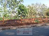 MORRO VERMELHO MOGI-MIRIM