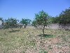 ALTO DO MIRANTE MOGI-MIRIM