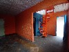 TUCURA MOGI-MIRIM