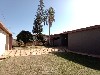 SAÚDE MOGI-MIRIM
