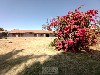 SAÚDE MOGI-MIRIM